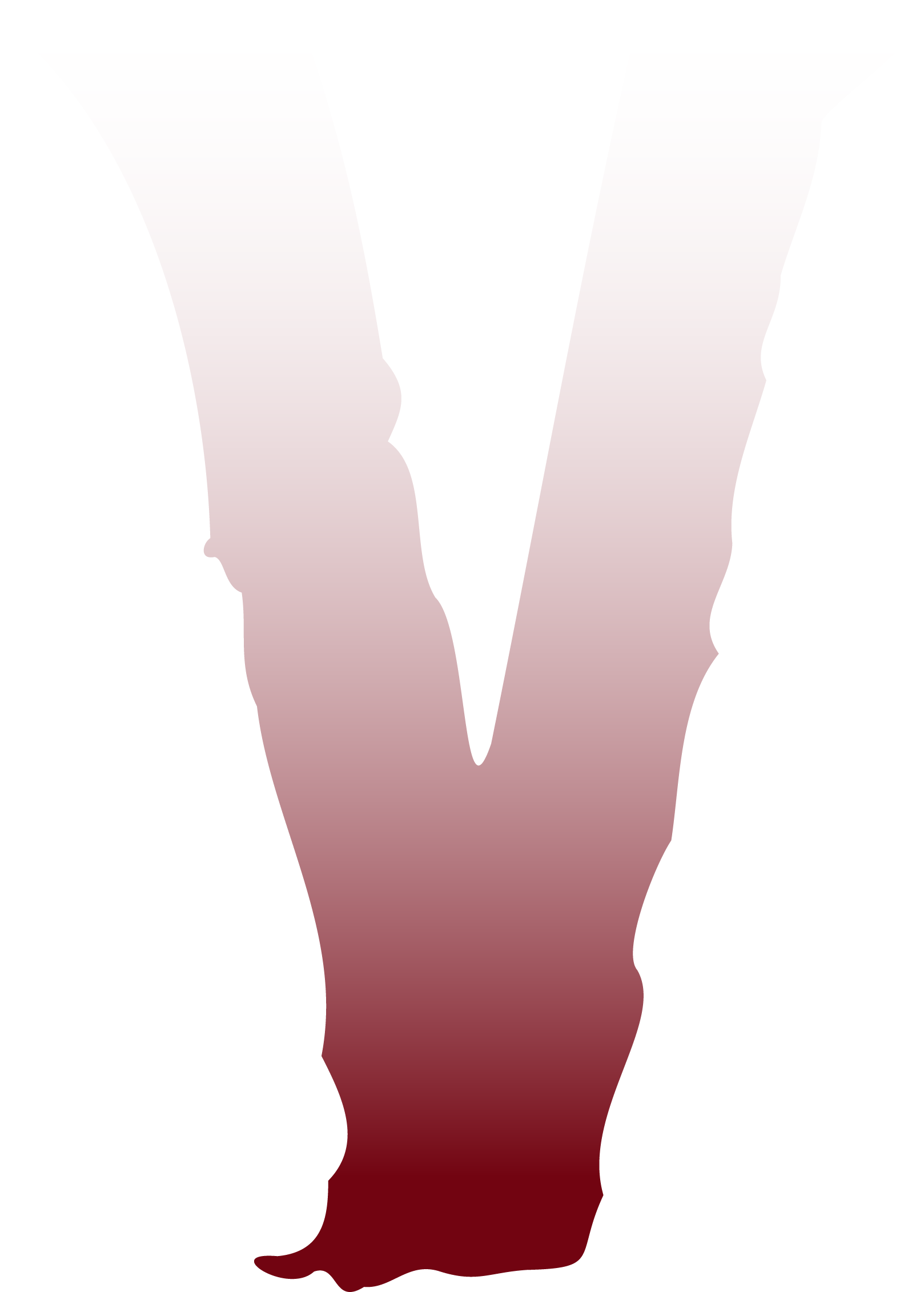 vestigehouse.asia favicon