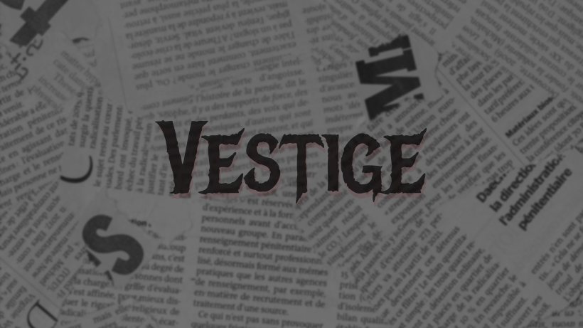 Vestige Fashion Platform